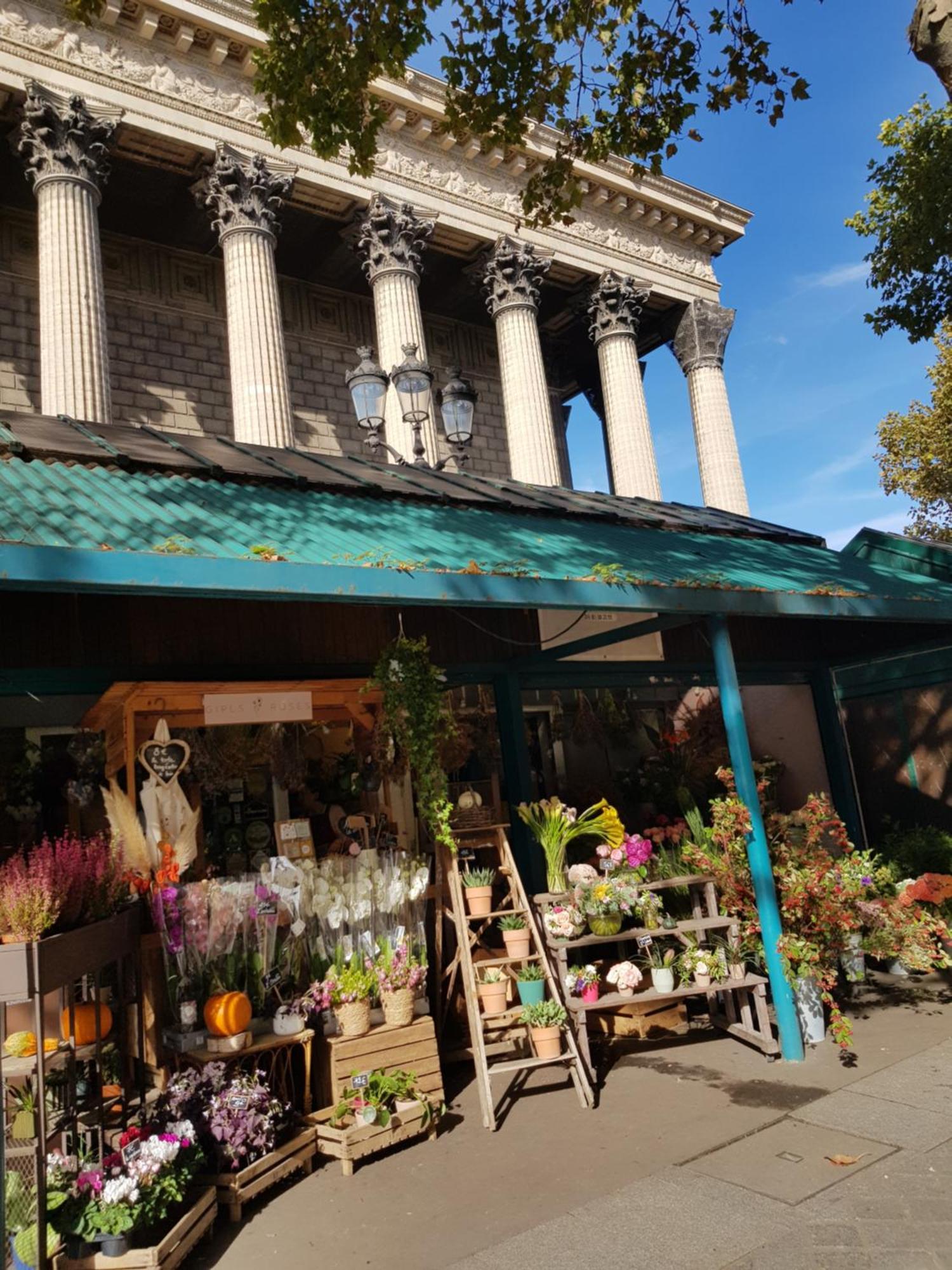 Hotel Alison Paris Dış mekan fotoğraf